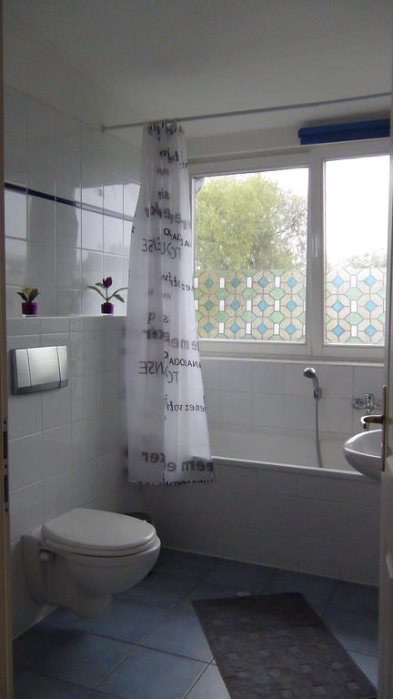 Apartmentpension Am Stadtschloss Potsdam Rom bilde